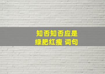 知否知否应是绿肥红瘦 词句